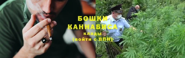 ГАЛЛЮЦИНОГЕННЫЕ ГРИБЫ Абинск