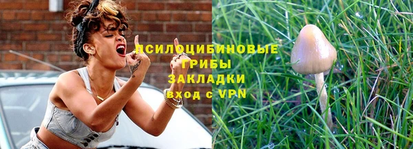 ГАЛЛЮЦИНОГЕННЫЕ ГРИБЫ Абинск