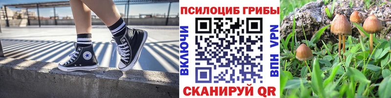 Галлюциногенные грибы ЛСД Райчихинск
