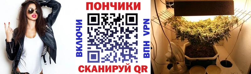 цена наркотик  Райчихинск  Марихуана OG Kush 